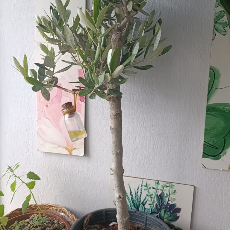 Görseldeki Ürünle Alakasız Çiçek Teslimatı Ve Eksik Aksesuarlar