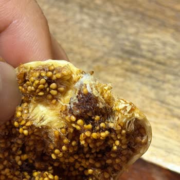 BİM'den Alınan Kuru İncirde Böceklenme Ve Hijyen Sorunu