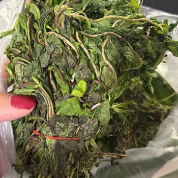 Çürük Ürün Teslimatı Ve İade Sürecinde Mağduriyet