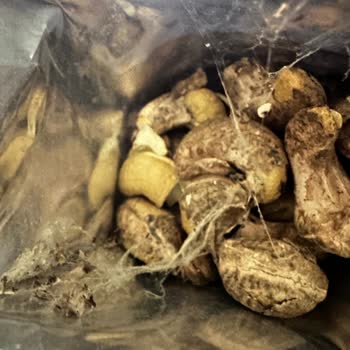 Aldığım Kaju Ürününde Hijyen Sorunu Ve Ücret İadesi Talebi