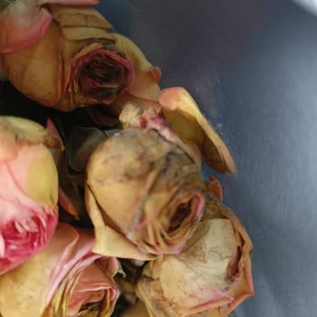 Öğretmenler Günü’nde Hayal Kırıklığı Ve İlgisiz Müşteri Hizmeti