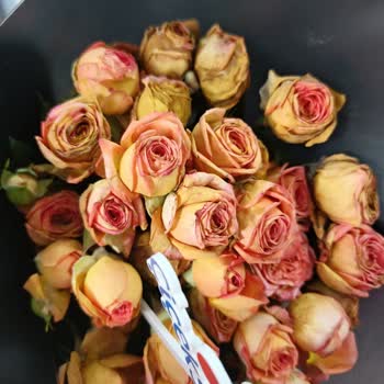 Öğretmenler Günü’nde Hayal Kırıklığı Ve İlgisiz Müşteri Hizmeti