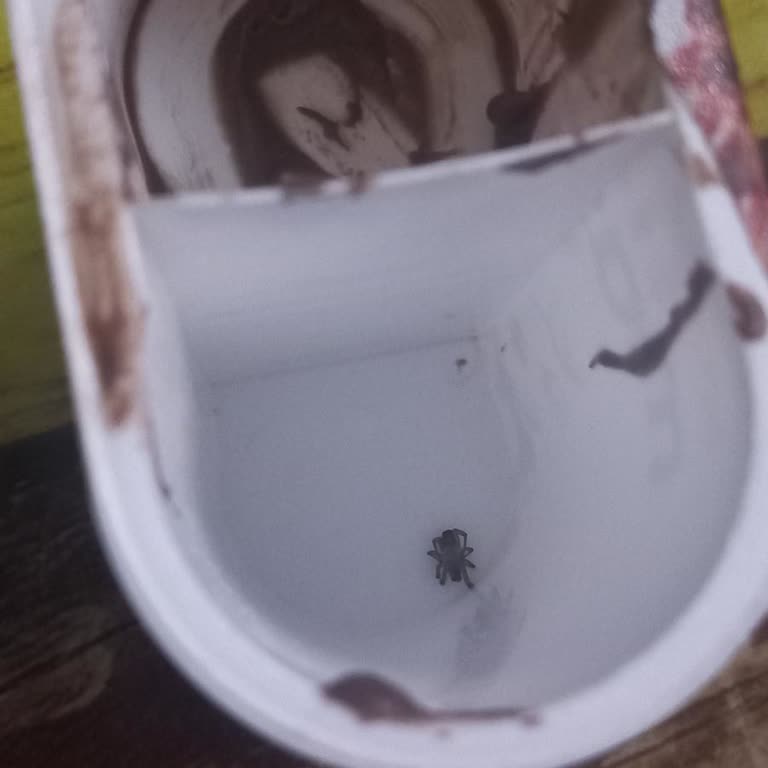 Çocuğuma Aldığım Atıştırmalıktan Böcek Çıkması Güvenimi Sarsıyor