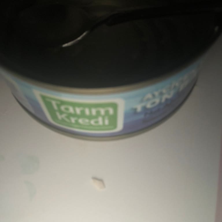 Ton Balığında Yabancı Maddeyle Karşılaşmak Endişe Verici