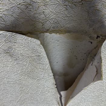 Ray Sigorta Ek Ücret Talebi Ve Hasar Dosyasının Reddi Mağduriyeti