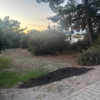 Belediyenin Temizlik Sorumluluğunu Yerine Getirmesini İstiyoruz