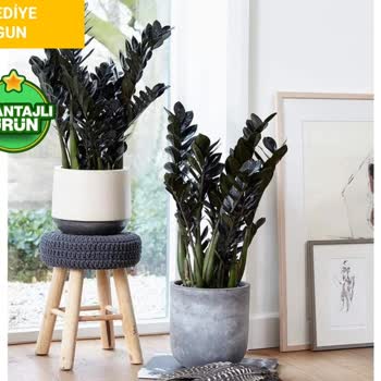 Siparişle Uyuşmayan Ürün Ve Yetersiz Satıcı Desteği