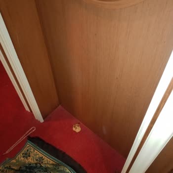 Köfteci Yusuf Mescidinde Hijyen Sorunu Ve Kötü Koku