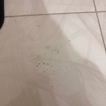 Bosch Unlimited 7 Süpürge Kirleri Dışarı Atıyor Çözüm Yok