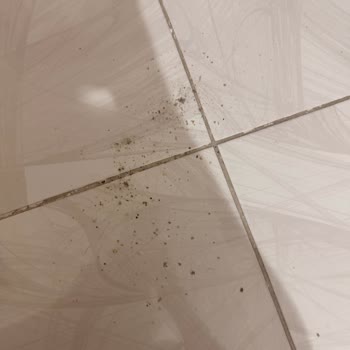 Bosch Unlimited 7 Süpürge Kirleri Dışarı Atıyor Çözüm Yok