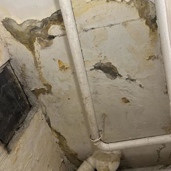 Burger King Şubesinden Kaynaklanan Su Kaçağı Mağduriyetimiz Sürüyor