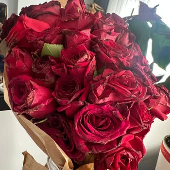 Yıldönümü Siparişim Geç Ve Çürük Çiçeklerle Teslim Edildi