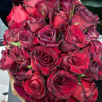 Yıldönümü Siparişim Geç Ve Çürük Çiçeklerle Teslim Edildi