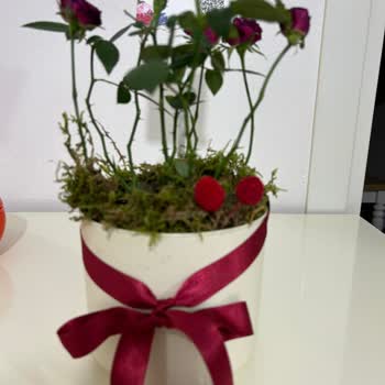 Siparişimdeki Çiçek Görseliyle Gönderilen Ürün Arasında Büyük Fark Var, Mağdur Oldum