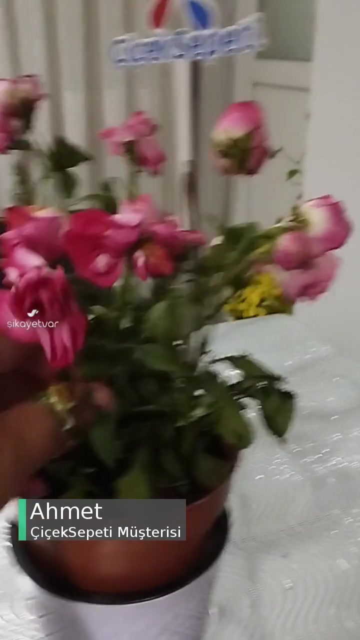 Çiçek Sepeti Yanıltmak Bu Kadar Kolay Olmamalı! videonun kapak resmi