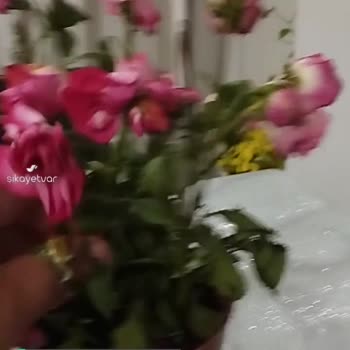 Çiçek Sepeti Yanıltmak Bu Kadar Kolay Olmamalı!