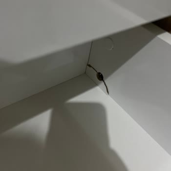 Aldığım Şifonyer Kısa Sürede Dağıldı, Hayal Kırıklığına Uğradım