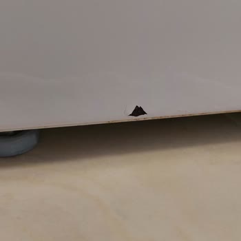 Bosch Çamaşır Makinemin 1 Yılda Paslanmasına Garanti Kapsamında Çözüm Bulunmuyor