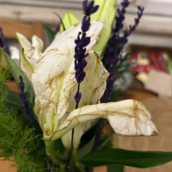 Çiçek Teslimatı Gecikti, Bozuk Ve Eksik Ürünle Mağdur Edildim