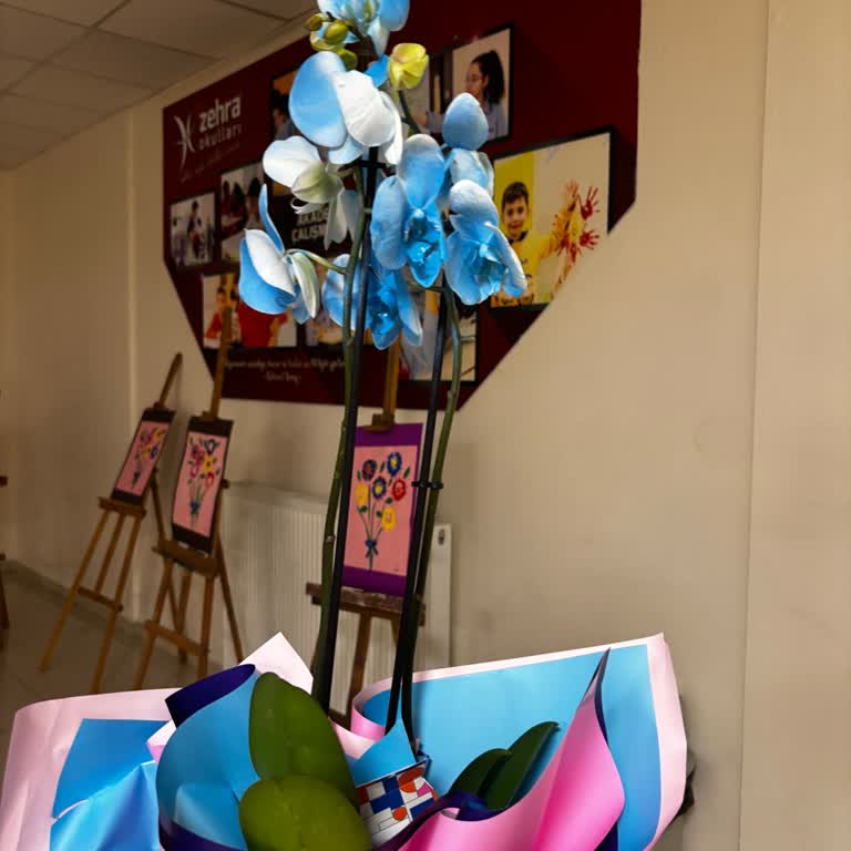 Onaylanan Görselden Farklı Ve Solmuş Orkide Teslimatı, Çözüm Sunulmadı