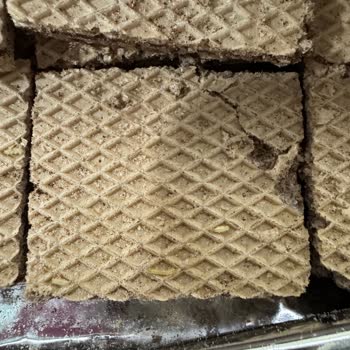 Biscolata Veni Paketinde Böcek Ve Kurtlarla Karşılaşmak Hayal Kırıklığı Yarattı