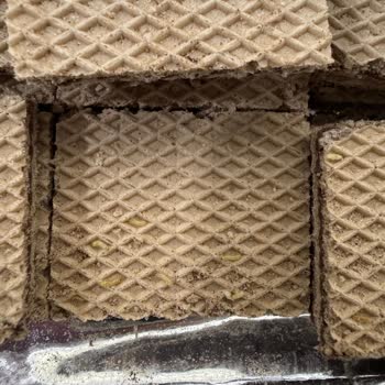 Biscolata Veni Paketinde Böcek Ve Kurtlarla Karşılaşmak Hayal Kırıklığı Yarattı