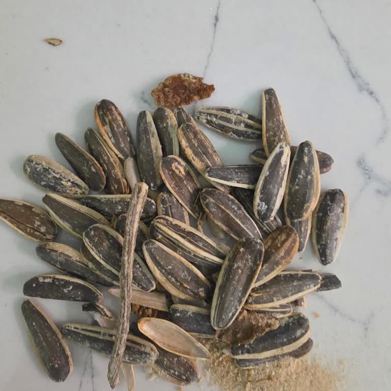 Bayat Ve Kalitesiz Çekirdek, Güven Sarsıcı Deneyim!