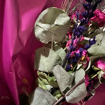 Yanlış Teslimat Ve Zamanlama Nedeniyle Hayal Kırıklığı Yaşadım