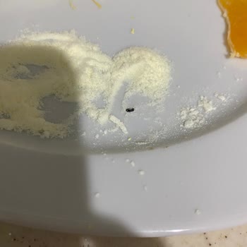 Bebek Devam Sütünde Hijyen Skandalı Ve Güven Kaybı