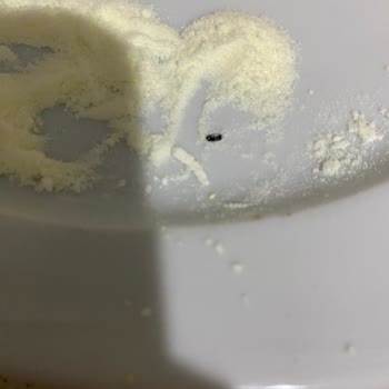 Bebek Devam Sütünde Hijyen Skandalı Ve Güven Kaybı