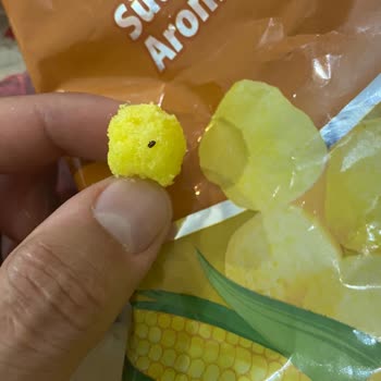 Paketlenmiş Mısır Çerezi İçinden Ölü Böcek Çıktı: Sağlığımız Tehlikede!