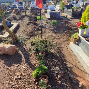 Siparişim Ne Kargoya Verildi Ne De Bilgi Verildi: Mağduriyet Yaşıyorum