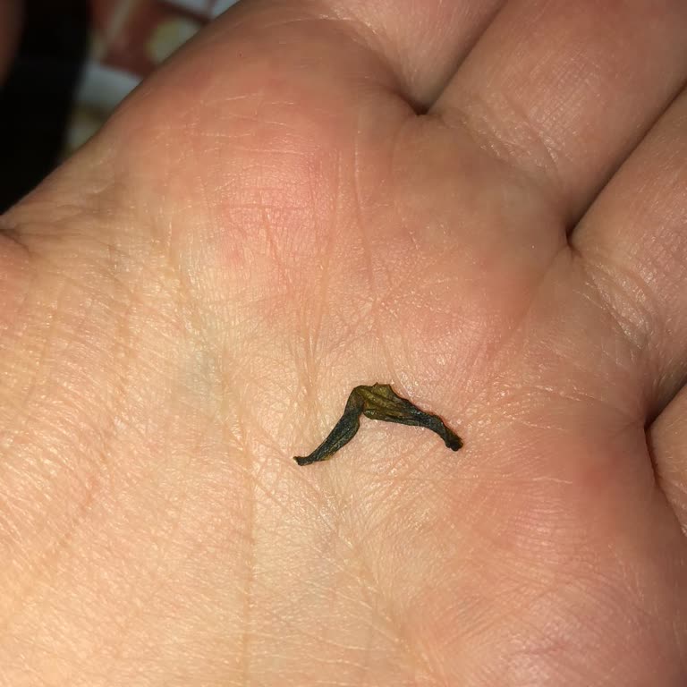 Yulaf Ezmesinde Yabancı Maddeyle Karşılaşmak Güvenimi Sarstı