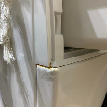 Bosch Çamaşır Makinesinde Küflenme Ve Hijyen Sorunu Yaşıyorum