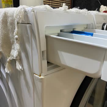 Bosch Çamaşır Makinesinde Küflenme Ve Hijyen Sorunu Yaşıyorum