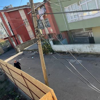 Tehlikeli Ve Yamuk Sokak Direği İçin Acil Müdahale Talebi