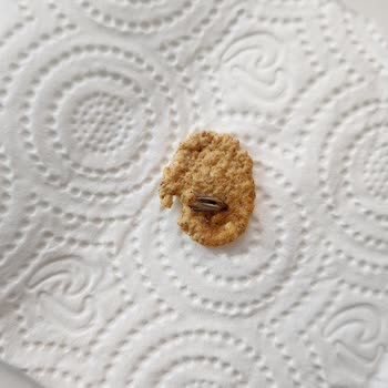 Paketli Çikolatada Böceklenme Nedeniyle Yaşanan Hijyen Endişesi