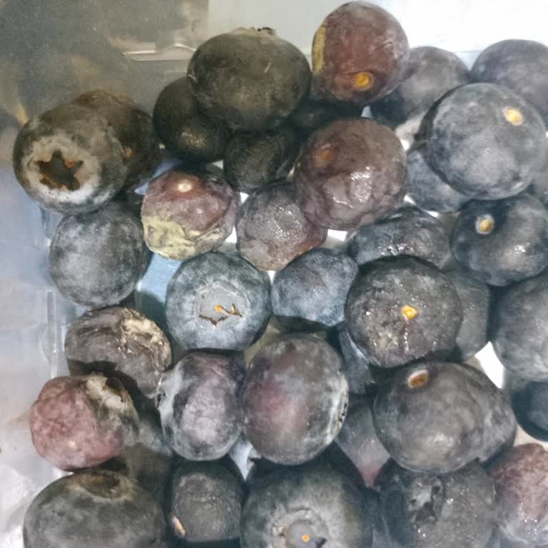 Migros Küflü Yaban Mersini Satışı Güvenimi Sarstı