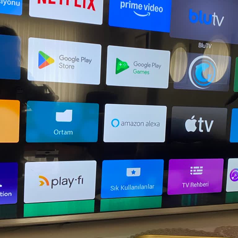Philips Televizyonda Kısa Sürede Oluşan Dikey Çizgi Sorunu Ve Yetersiz Destek