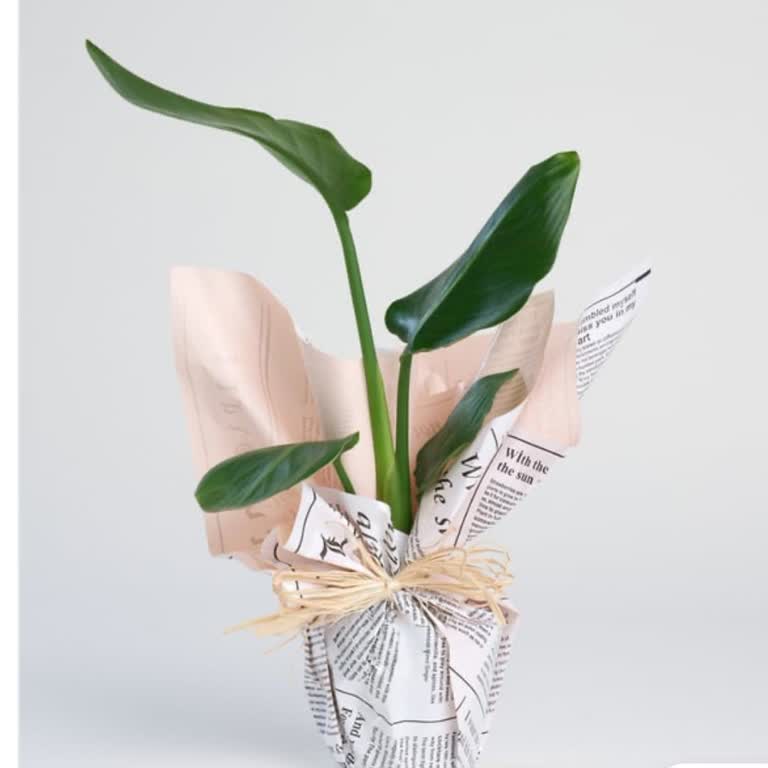 Teslim Edilmediği Halde Teslim Edildi Gösterilen Siparişim Hakkında Mağduriyet