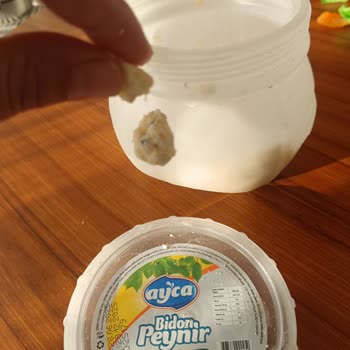 Ayça Süt Ürünleri Bidon Peynirde Yabancı Madde Sorunu