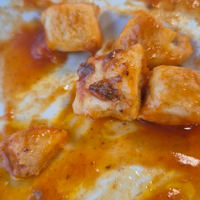 İskenderin İçinde Böcek Buldum Hijyen Endişesi Yaşıyorum