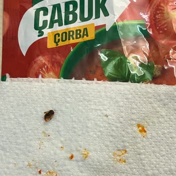Knorr Çabuk Çorba İçinden Yabancı Madde Çıkması Ve Yetersiz Geri Dönüş