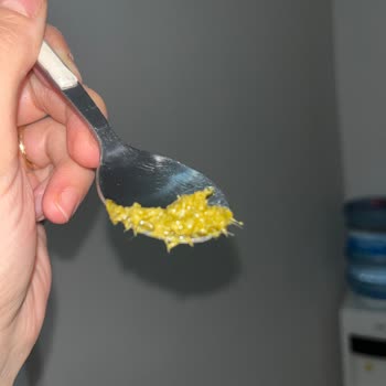 Pastavilla Pesto Sos İçinde Yabancı Madde Ve Hijyen Sorunu