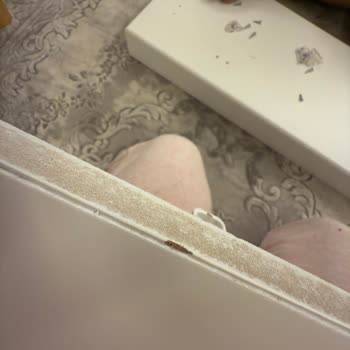 Koçtaş’tan Hasarlı Şömine Aldım Muhatap Bulamıyorum!