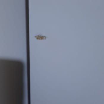 Defolu Gardırop Gönderildi, İptal Talebim Reddedildi