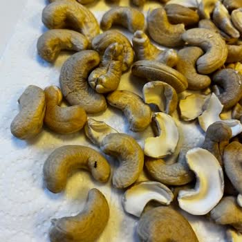 Gold Harvest Kuruyemiş Paketin İçinden Böcek Çıktığını Fark Ettim