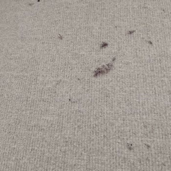 Aldığım Koltuk Takımı Kısa Sürede Deforme Oldu