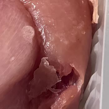 Bozuk Ve Sağlıksız Piliç Fileto Teslimatı Sonrası Migros'tan Yanıtsız Kaldım