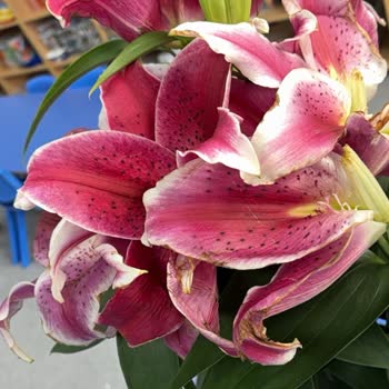 Teslim Edilmeyen Sipariş Ve Solmuş Çiçek Nedeniyle Büyük Hayal Kırıklığı